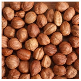 TFA DX Hazelnut