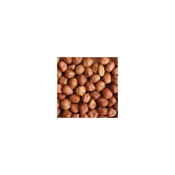 TFA DX Hazelnut