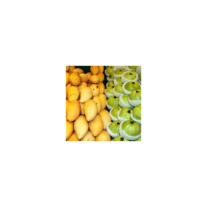 FW MANGO GUAVA 