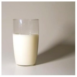 Dairy/Milk Flavor
