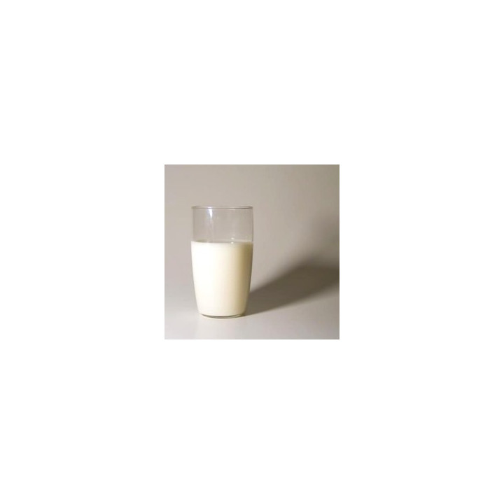 Dairy/Milk Flavor