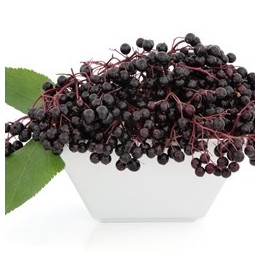 Elderberry Flavor
