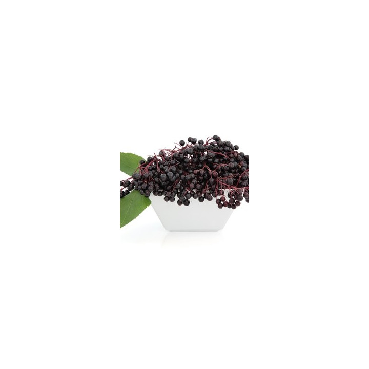 Elderberry Flavor