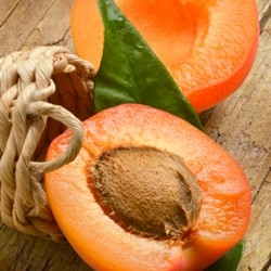 TFA Apricot Flavor ( albaricoque )