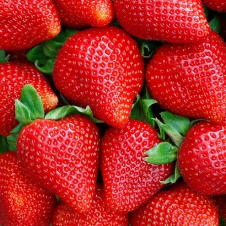 TFA Sweet Strawberry 