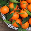 TFA Orange Mandarin Flavor