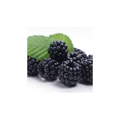 Blackberry Flavor