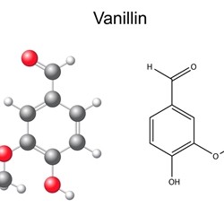 Vanillin 10 (PG)