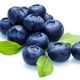 Blueberry Flavor (Extra)