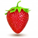 FA Strawberry  (FA06)