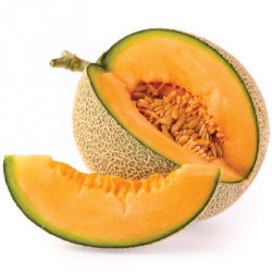 FA Melon Cantaloupe (FA24)