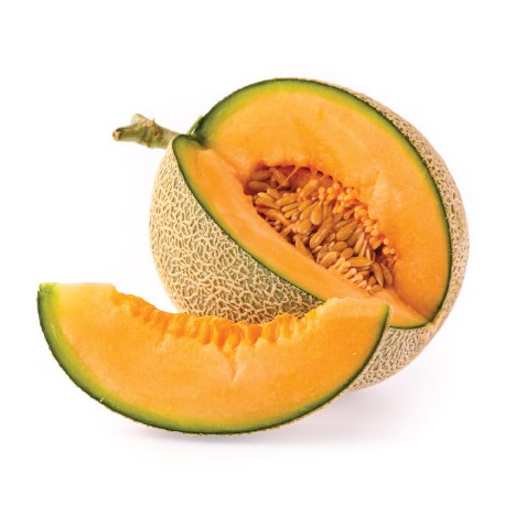 FA Melon Cantaloupe (FA24)