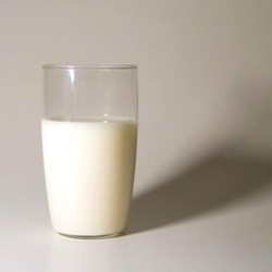 Dairy/Milk Flavor
