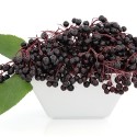 TFA Elderberry Flavor